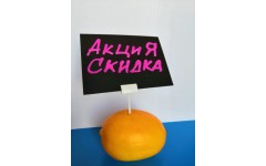 Ценникодержатель ИГОЛКА Пластик